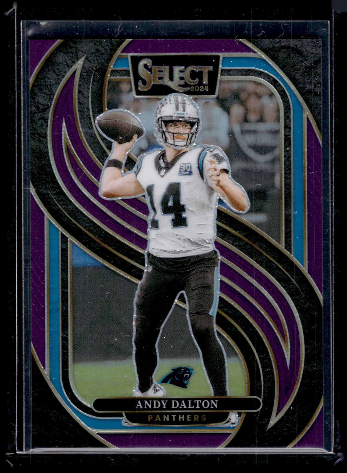 HL-P02 2025 Panini Select Prizm Andy Dalton #106 Purple /75 Premier Level